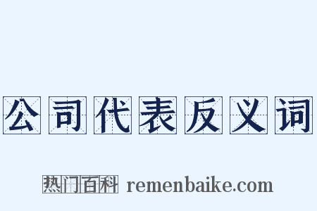 公司代表反义词是什么意思的图片
